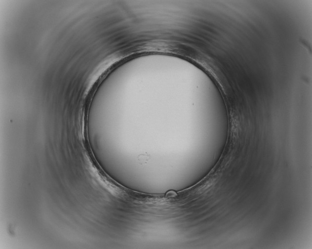 X0000103151131200809051631