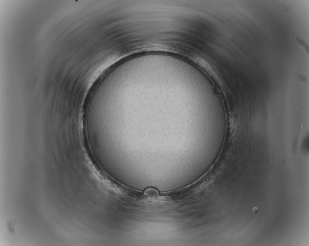 X0000103151133200809051631