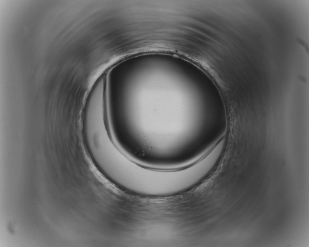 X0000103151134200809051631