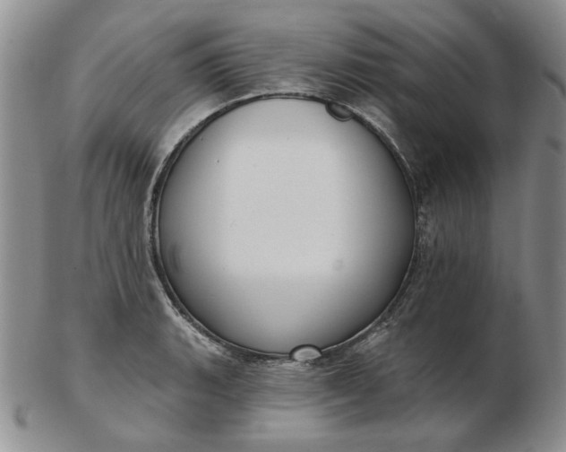 X0000103151135200809051631