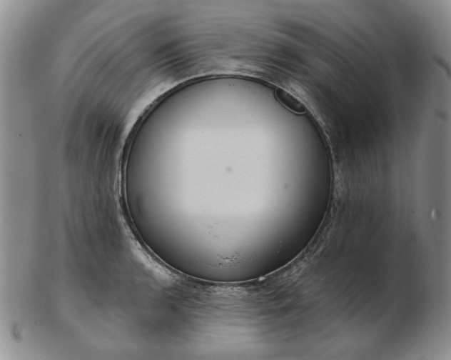 X0000103151136200809051631