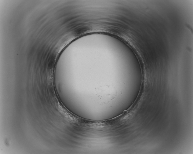 X0000103151137200809051631