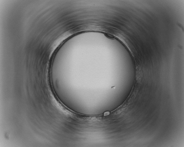 X0000103151139200809051631