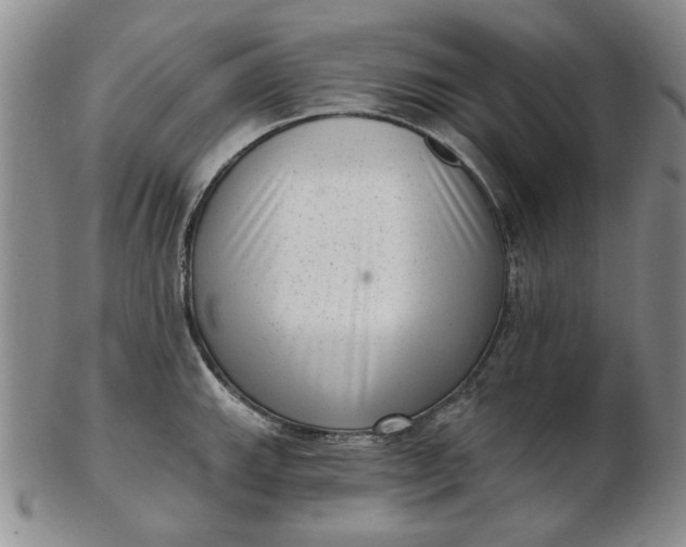 X0000103151143200809051631