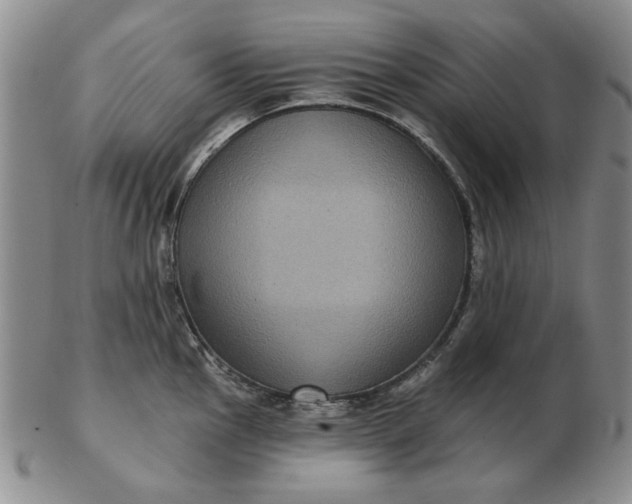 X0000103151145200809051631