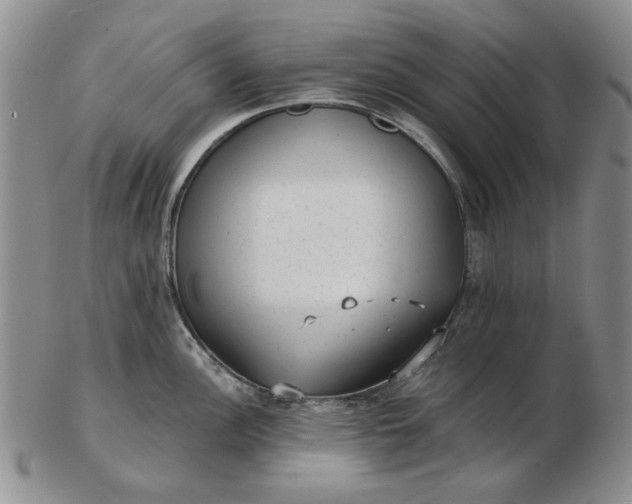 X0000103151148200809051631