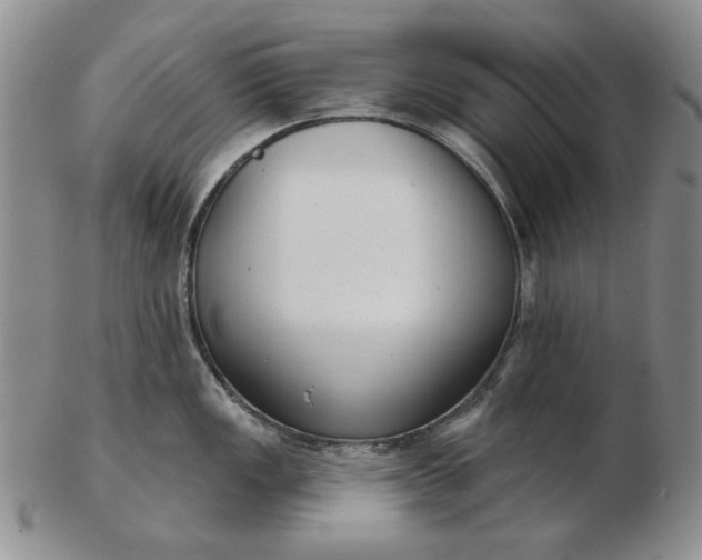 X0000103151149200809051631