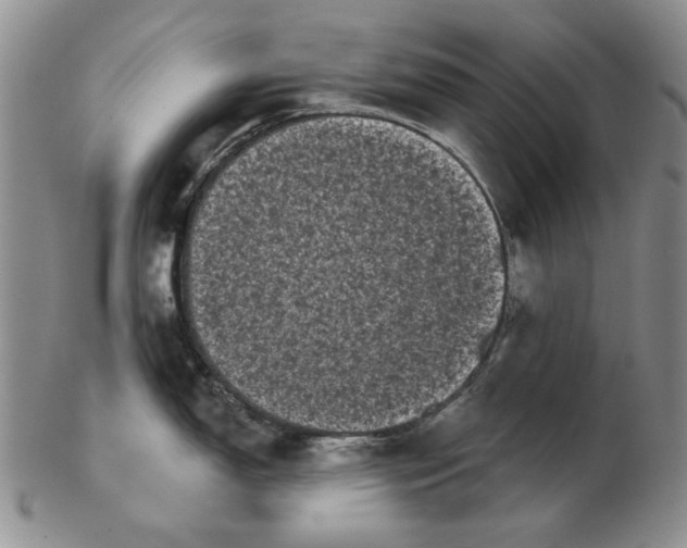 X0000103151150200809051631