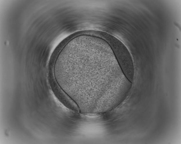 X0000103151152200809051631