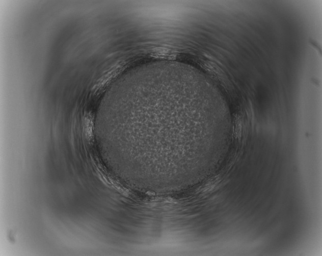 X0000103151154200809051631