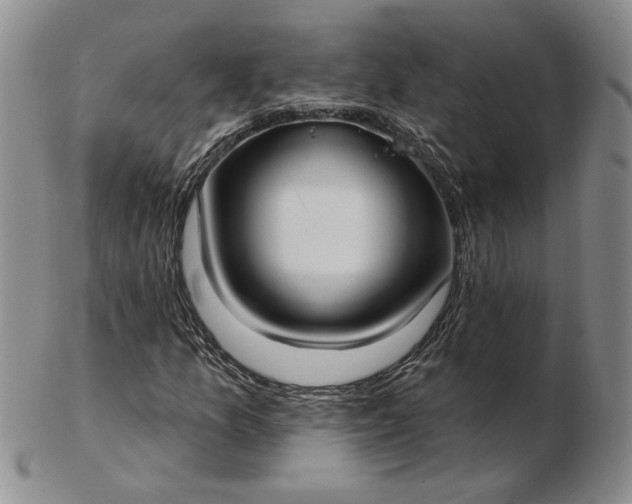 X0000103151157200809051631