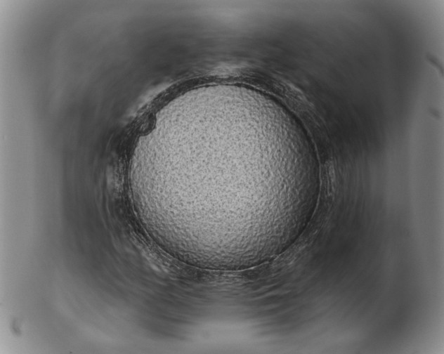 X0000103151158200809051631