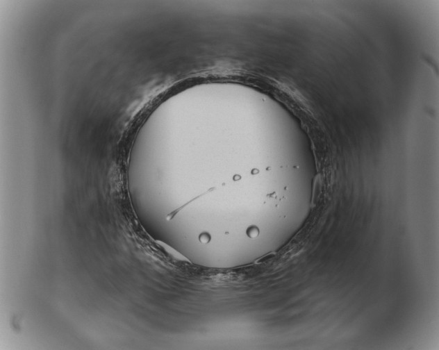 X0000103151160200809051631