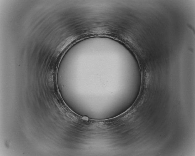 X0000103151162200809051631