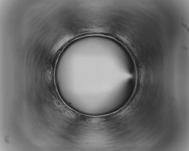 X0000103151163200809051631