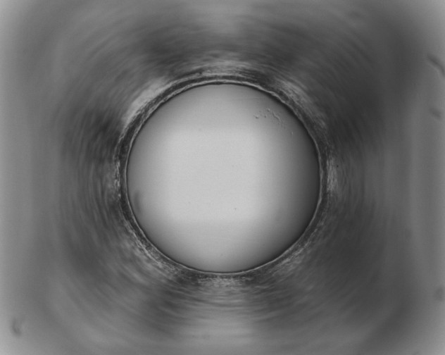 X0000103151164200809051631