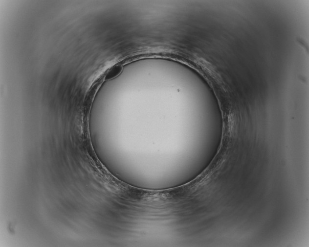 X0000103151165200809051631