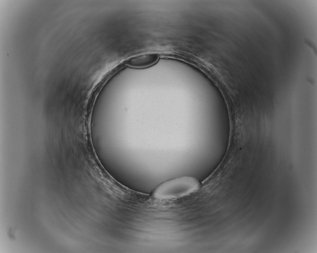 X0000103151168200809051631