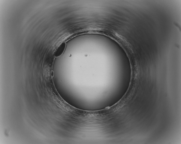 X0000103151169200809051631