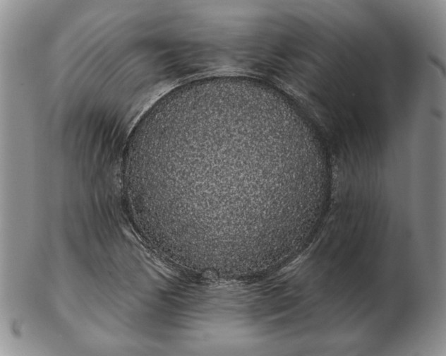 X0000103151170200809051631