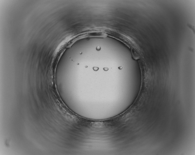 X0000103151172200809051631