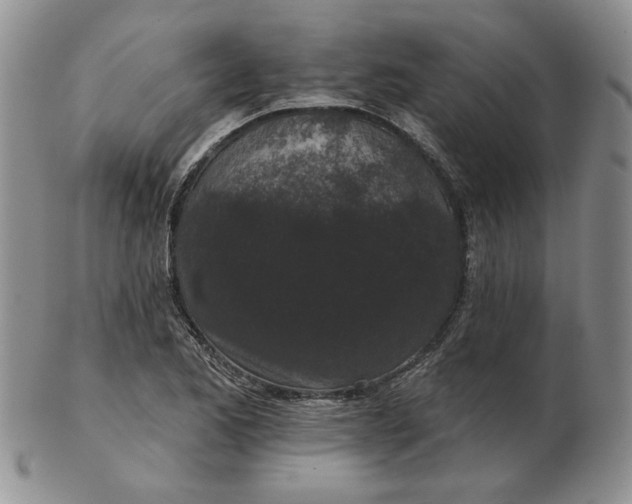 X0000103151173200809051630