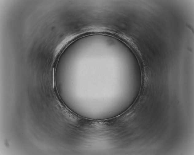 X0000103151175200809051630