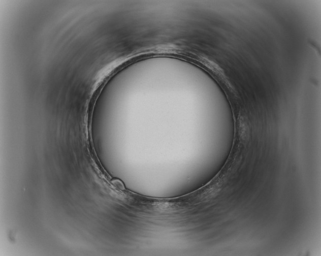 X0000103151176200809051630