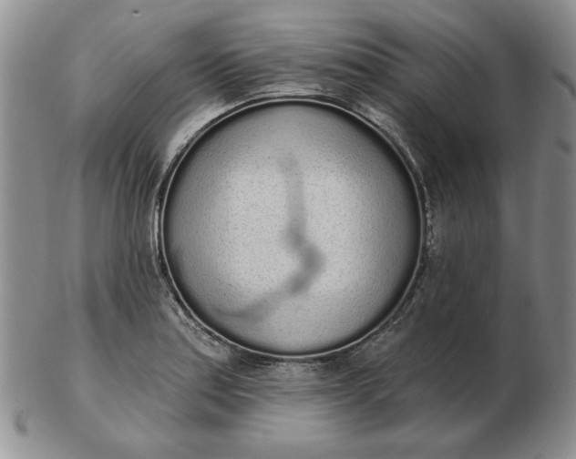 X0000103151179200809051630