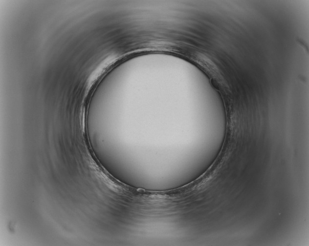 X0000103151180200809051630