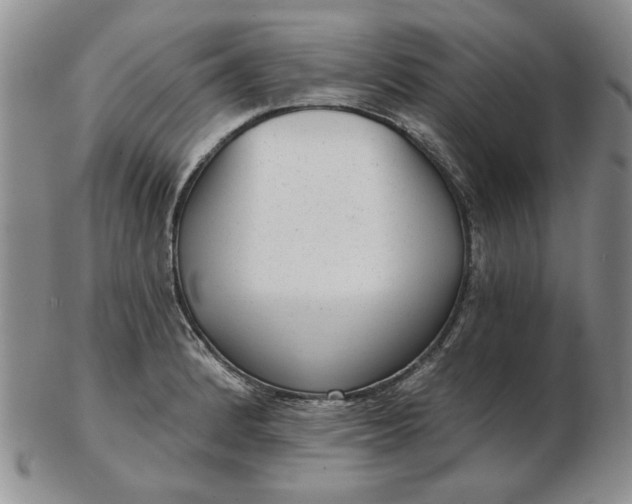 X0000103151184200809051630