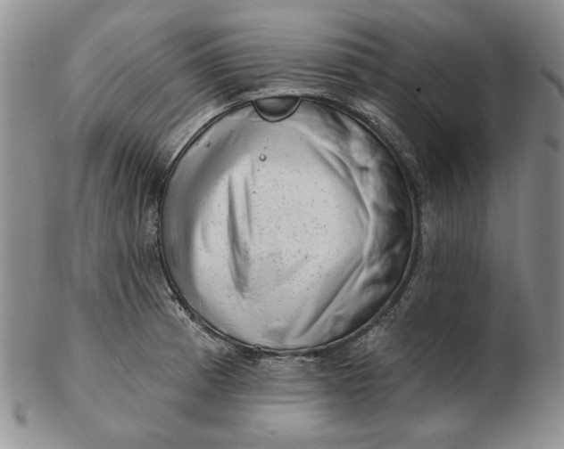 X0000103151185200809051630