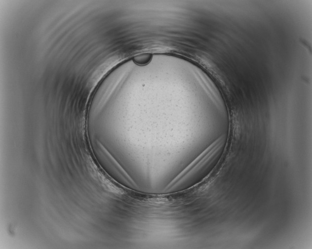 X0000103151186200809051630