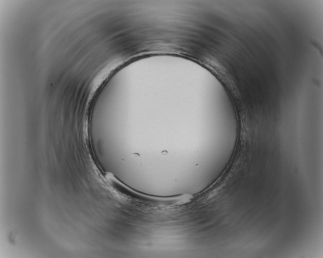 X0000103151188200809051630