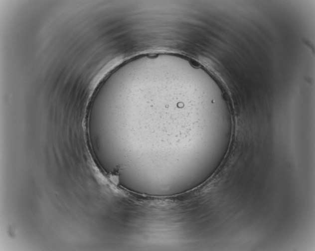 X0000103151189200809051630