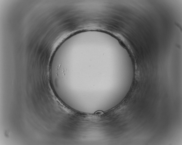 X0000103151191200809051630