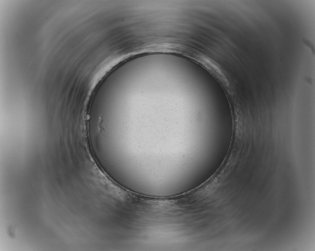 X0000103151192200809051630