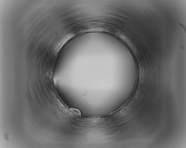 X0000103151193200809051630