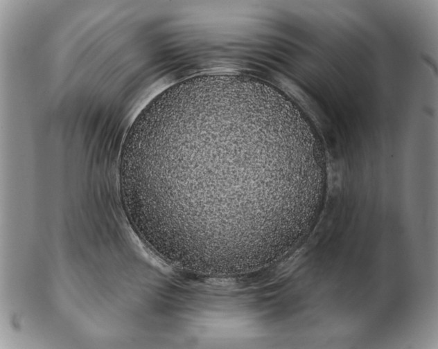 X0000103151194200809051630