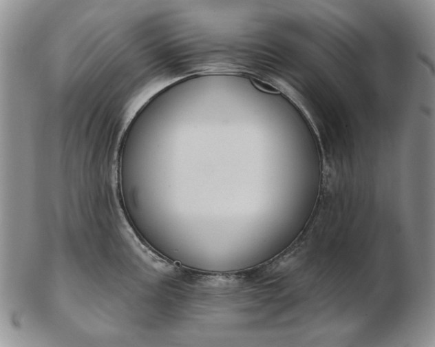 X0000103151195200809051630