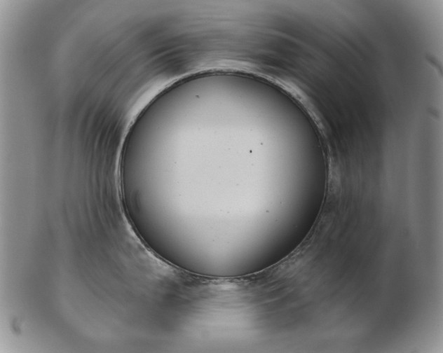 X0000103151199200809051630