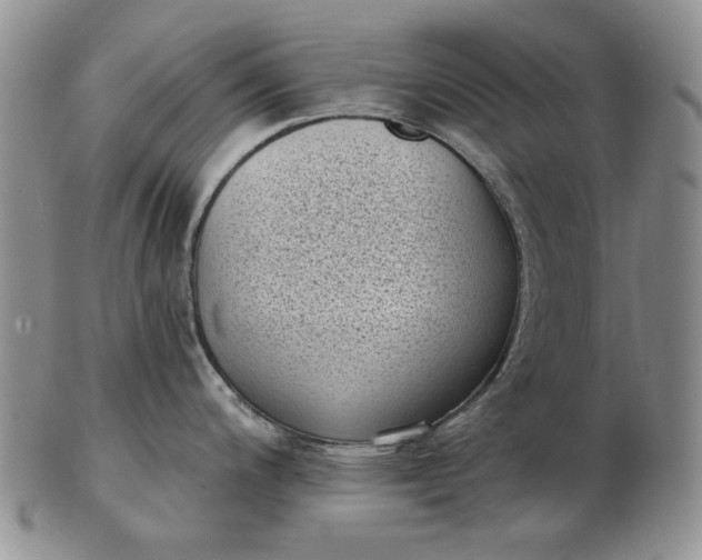 X0000103151200200809051630