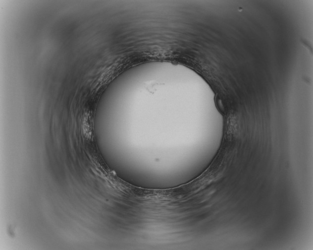 X0000103151202200809051629