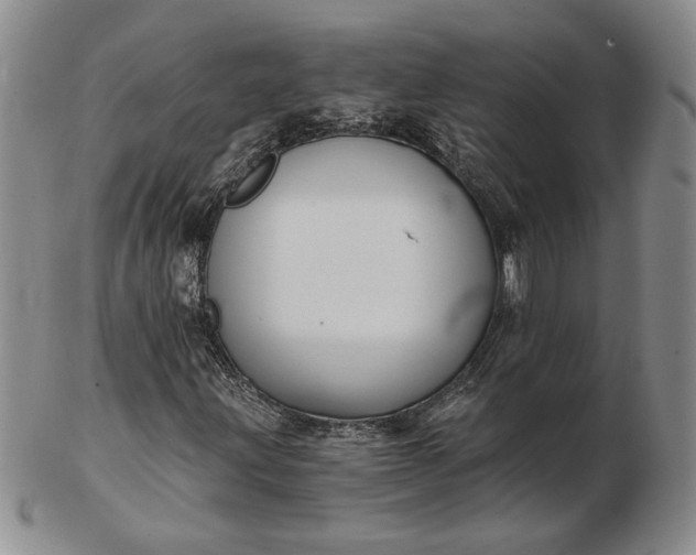 X0000103151203200809051629