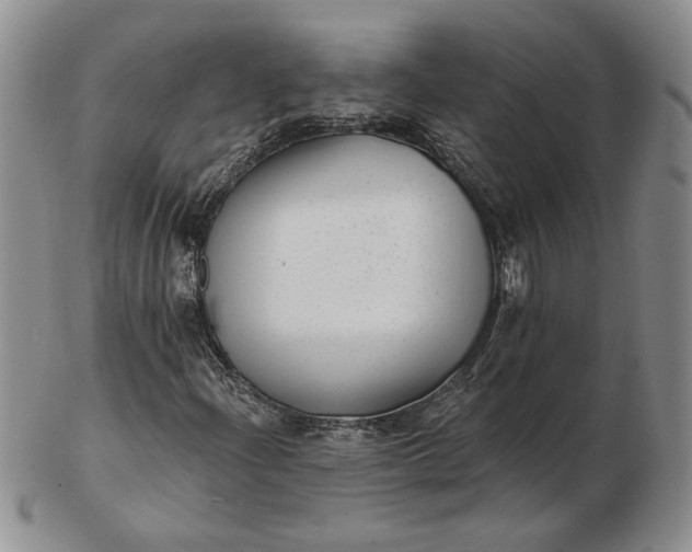 X0000103151204200809051630