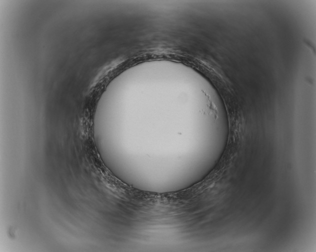 X0000103151207200809051630