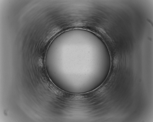 X0000103151209200809051630