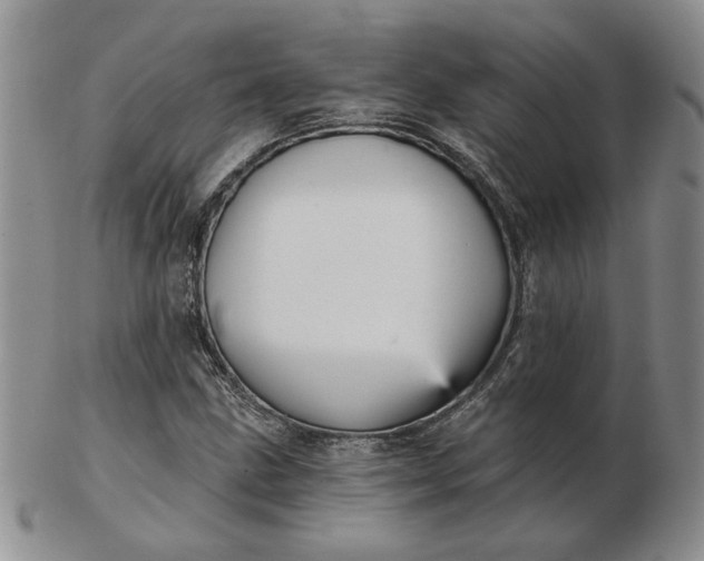 X0000103151211200809051630