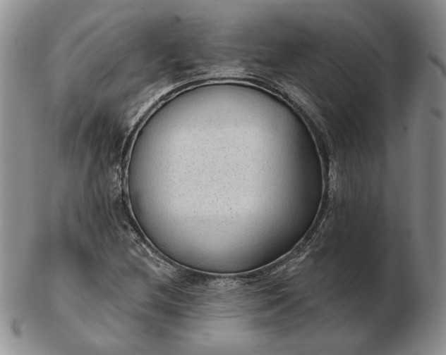 X0000103151212200809051630