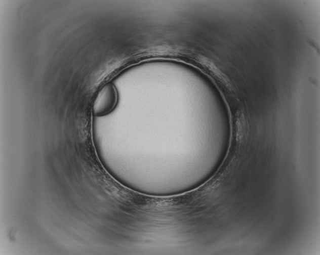 X0000103151213200809051630